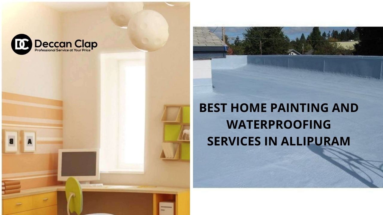 Best Home painting and waterproofing services in Allipuram