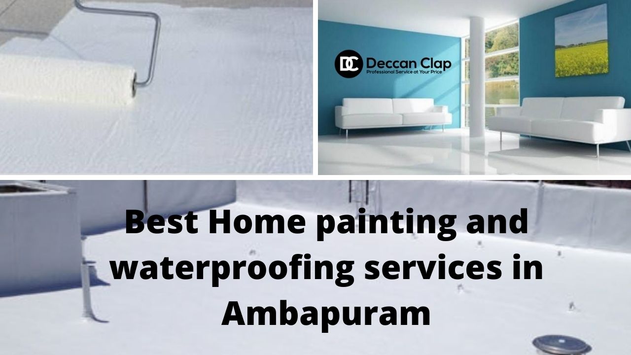 Best Home painting and waterproofing services in Ambapuram