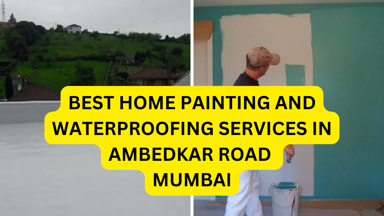 Best Home painting and waterproofing services in AMBEDKAR ROAD