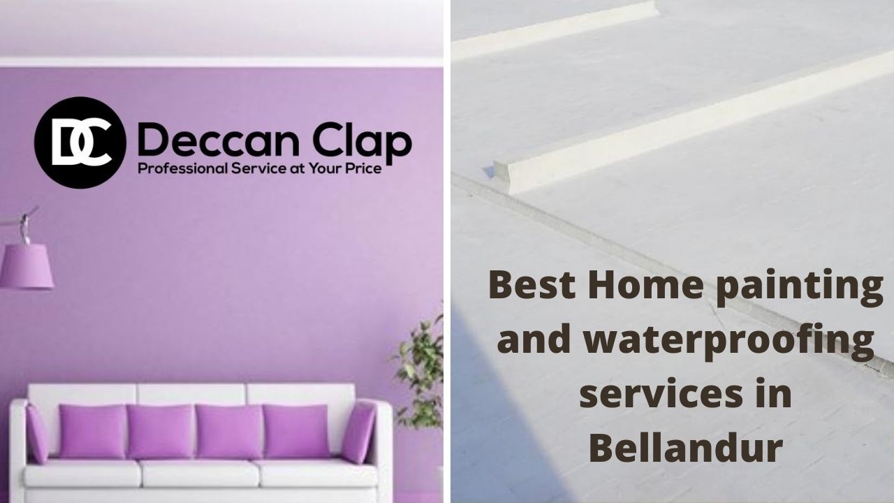 Best Home painting and waterproofing services in Bellandur