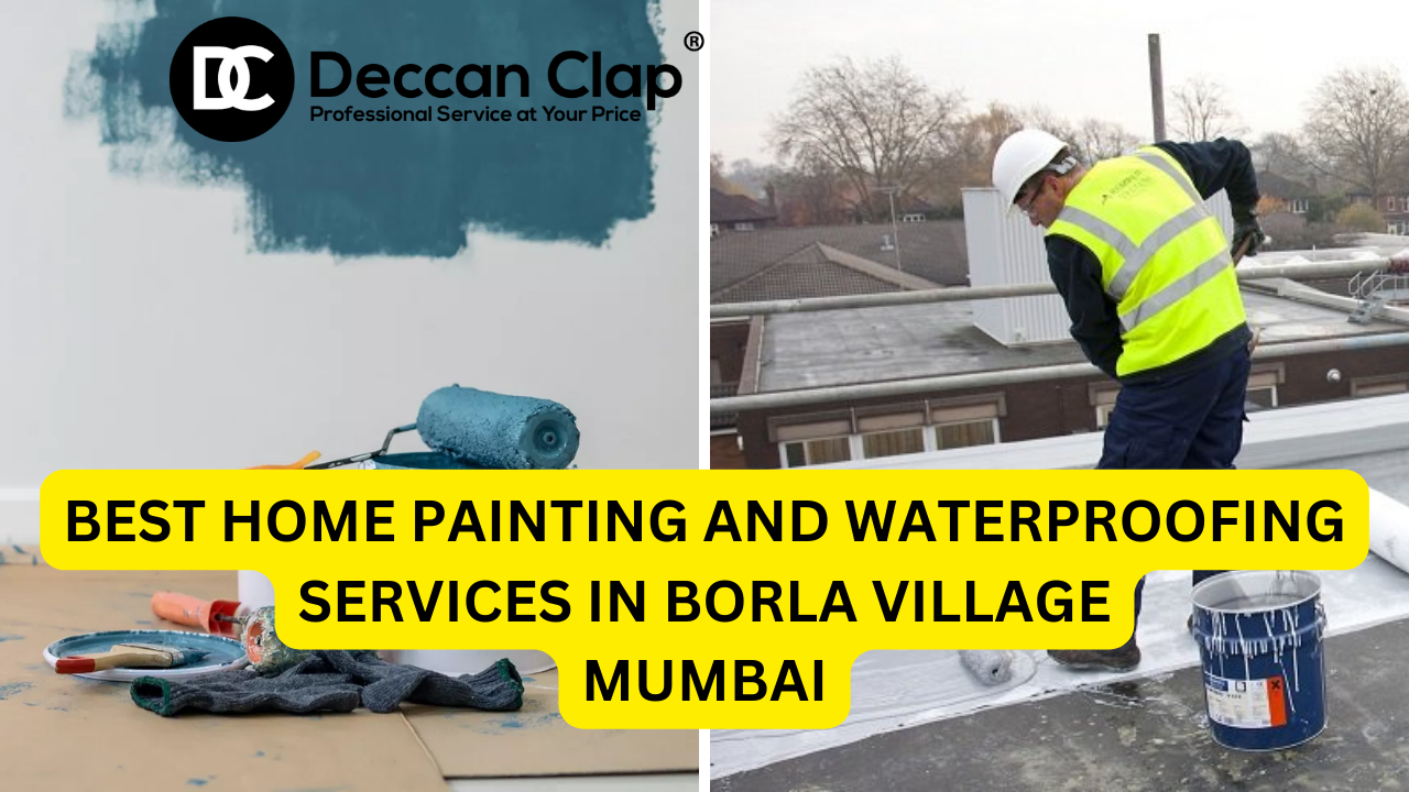 Best Home Painting and Waterproofing Services in Borla village