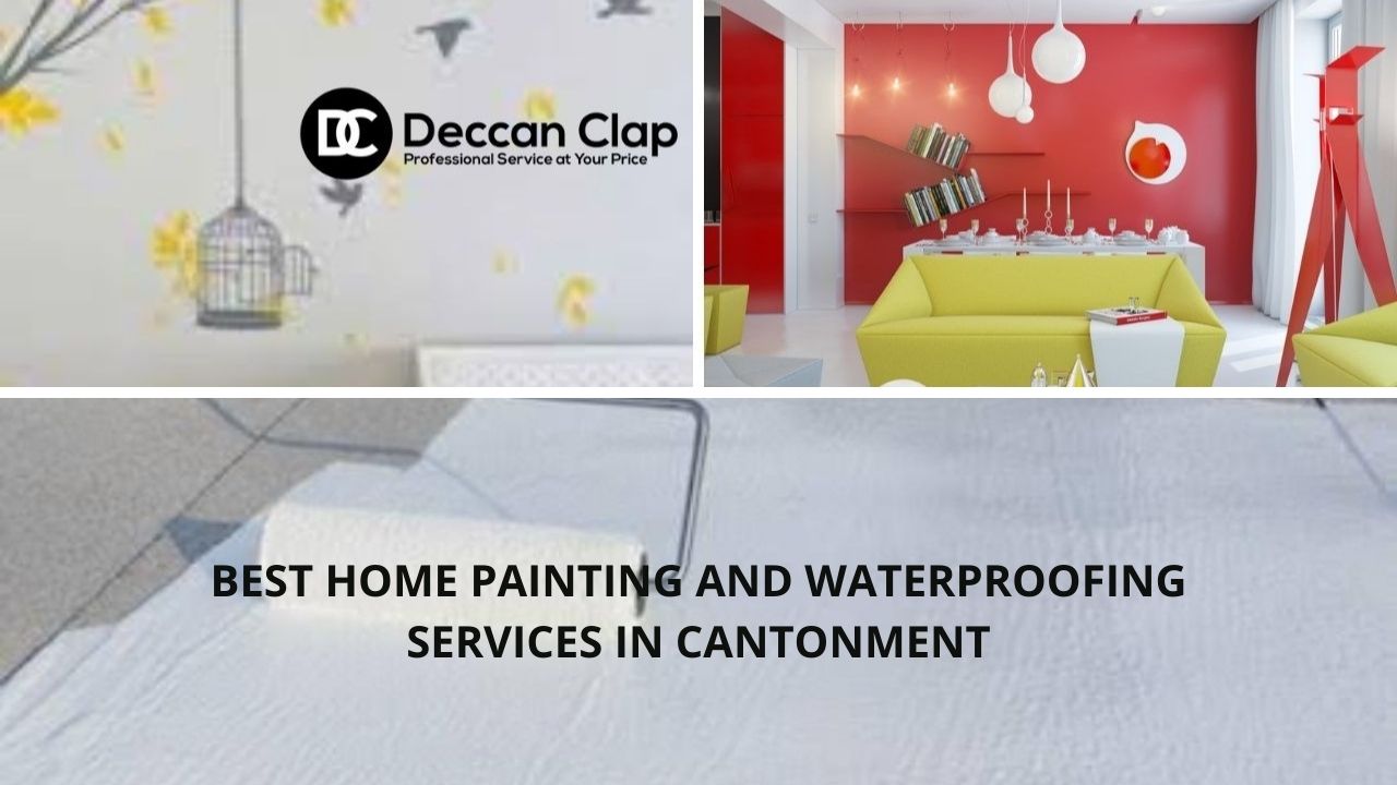 Best Home painting and waterproofing services in Cantonment