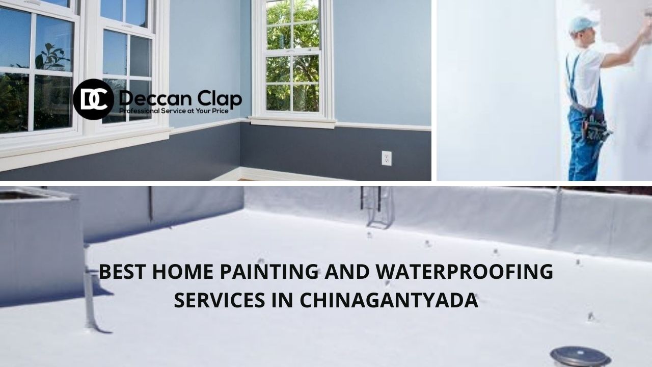 Best Home painting and waterproofing services in Chinagantyada
