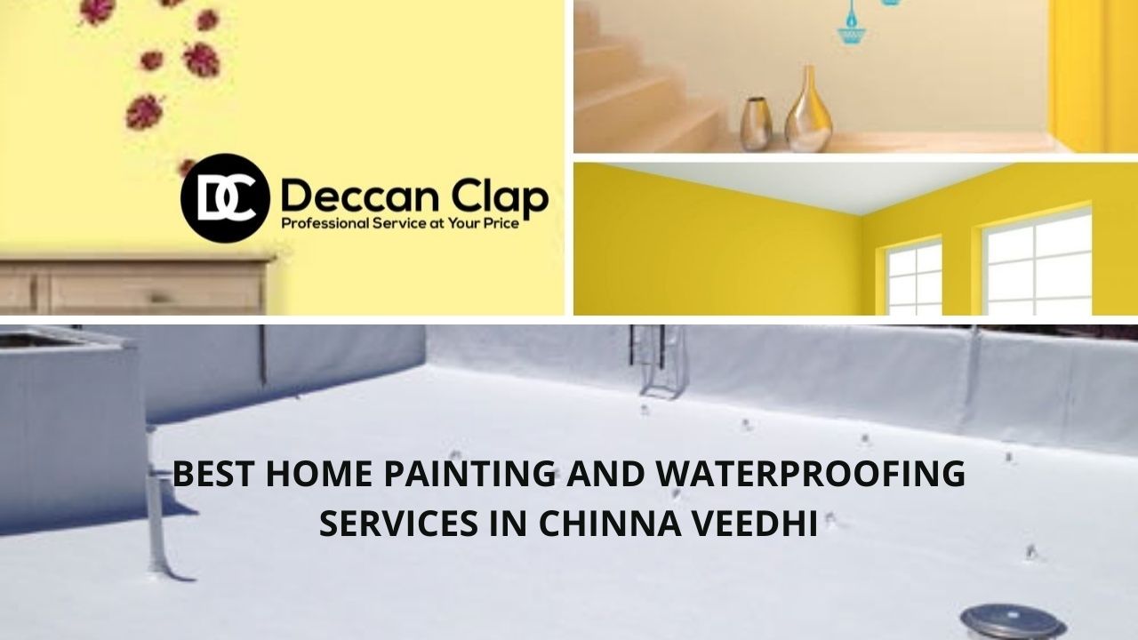 Best Home painting and waterproofing services in Chinna Veedhi