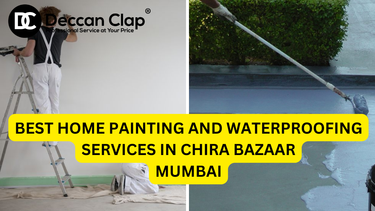 Best Home Painting and Waterproofing Services in Chira Bazaar
