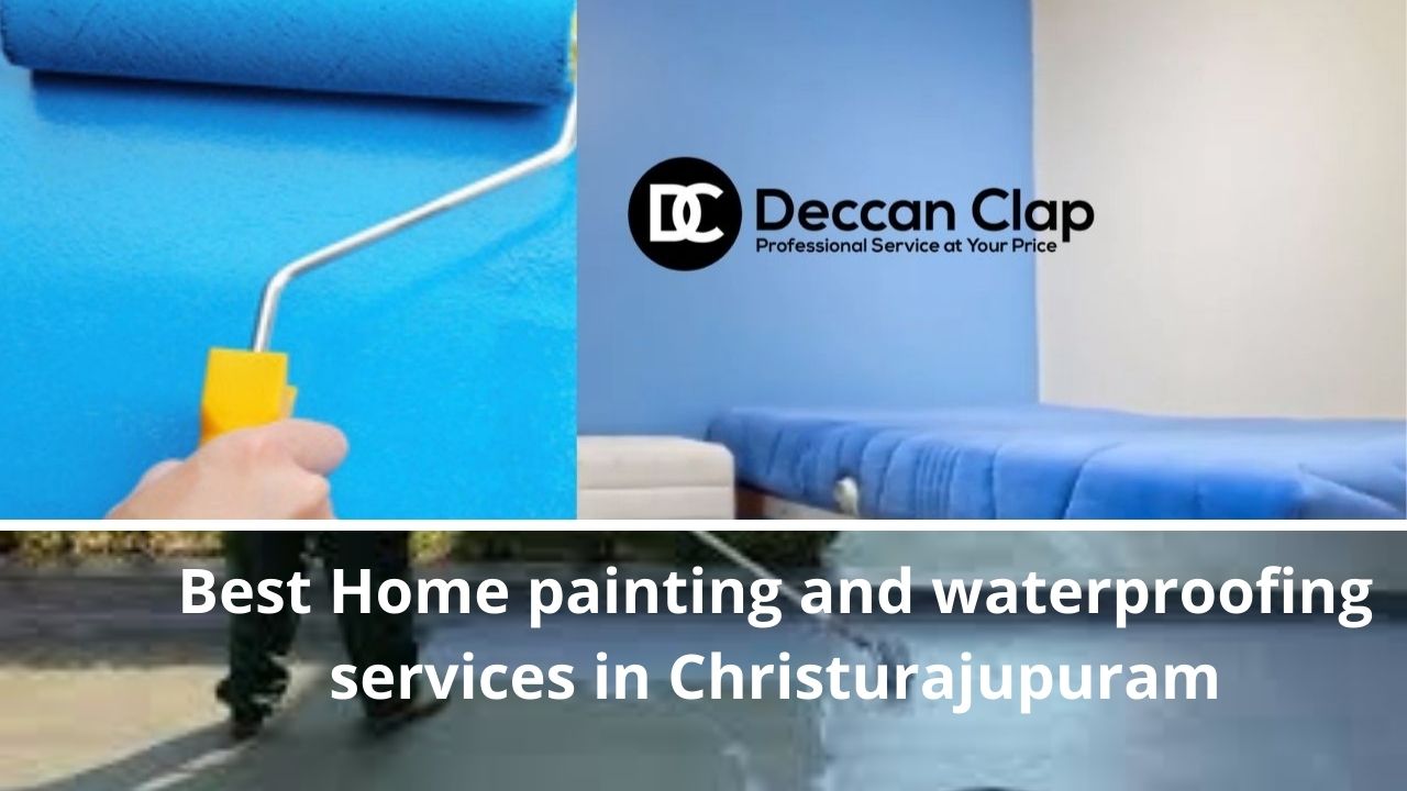 Best Home painting and waterproofing services in Christurajupuram