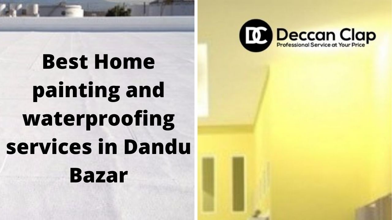 Best Home painting and waterproofing services in Dandu Bazar