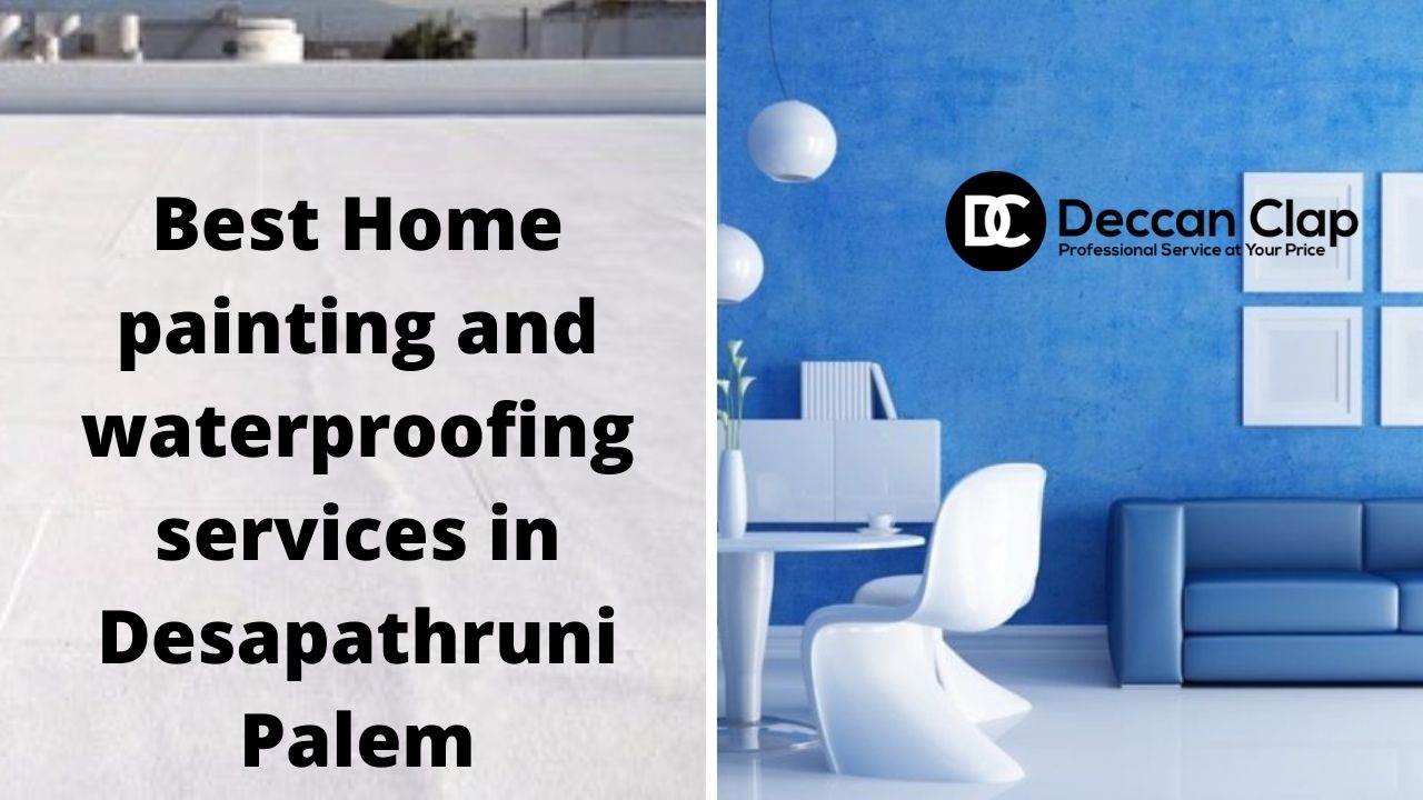 Best Home painting and waterproofing services in Desapathruni Palem