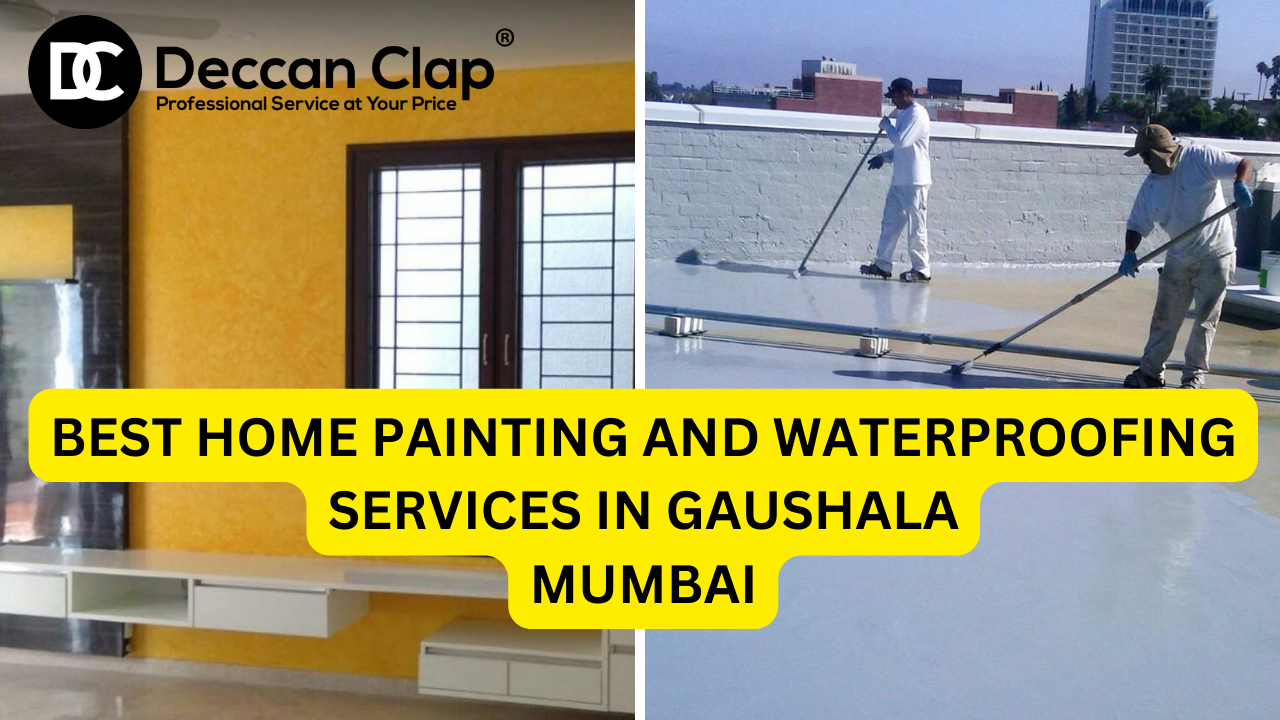 Best Home Painting and Waterproofing Services in Gaushala