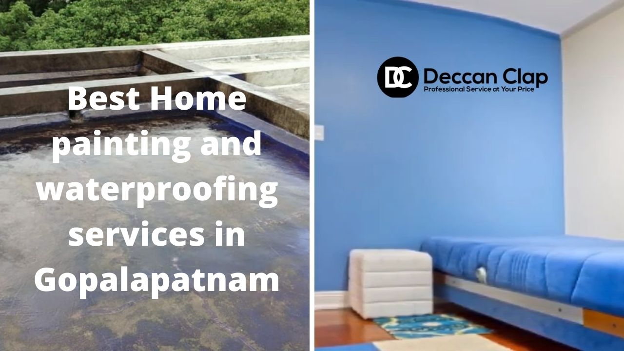 Best Home painting and waterproofing services in Gopalapatnam