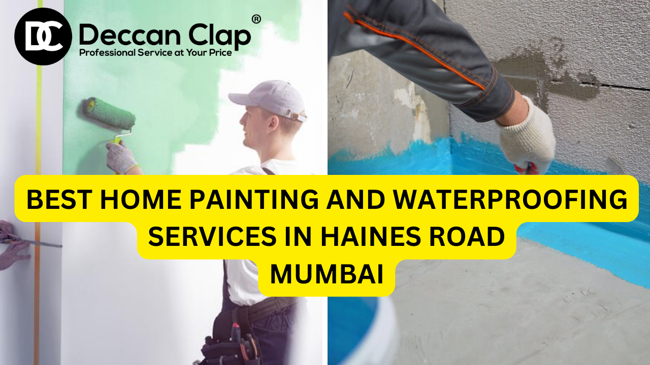Best Home Painting and Waterproofing Services in Haines Road