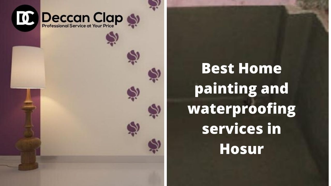 Best Home painting and waterproofing services in Hosur