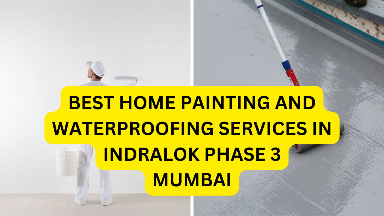 Best Home painting and waterproofing services in Indralok Phase 3