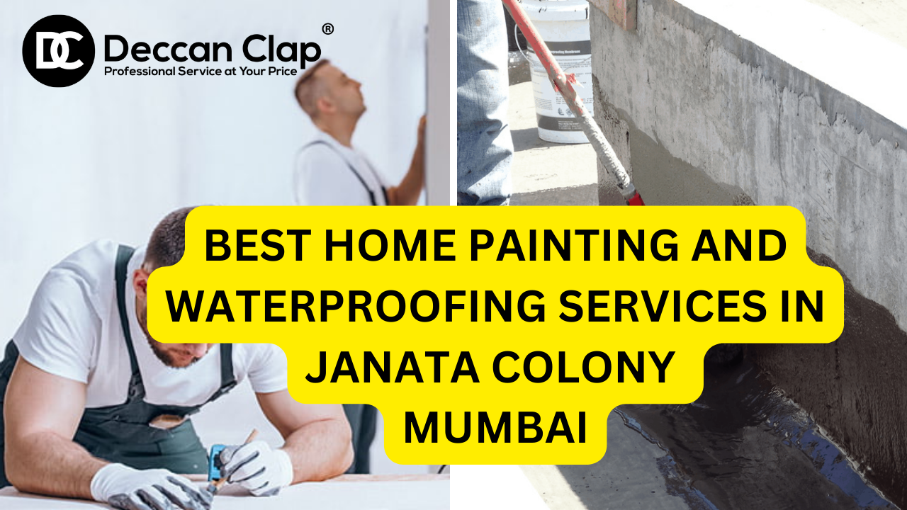 Best Home painting and waterproofing services in Janata Colony