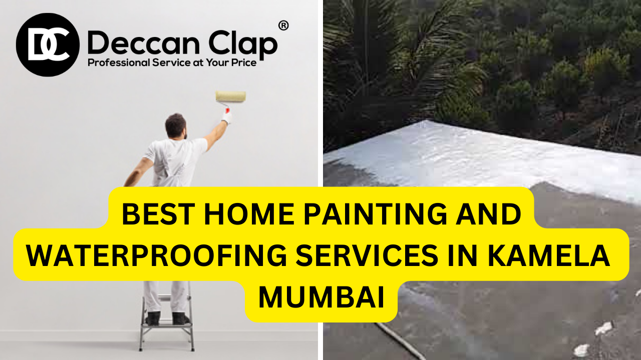 Best Home Painting and Waterproofing Services in Kamela