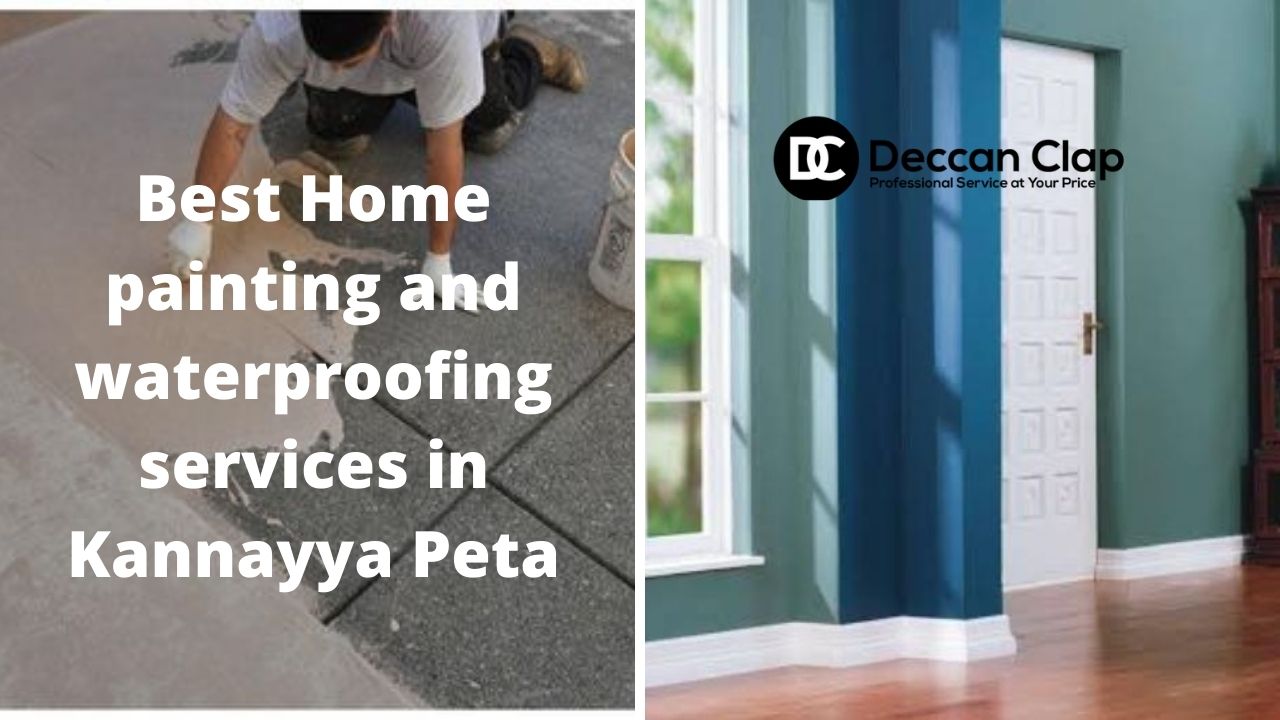 Best Home painting and waterproofing services in Kannayya Peta