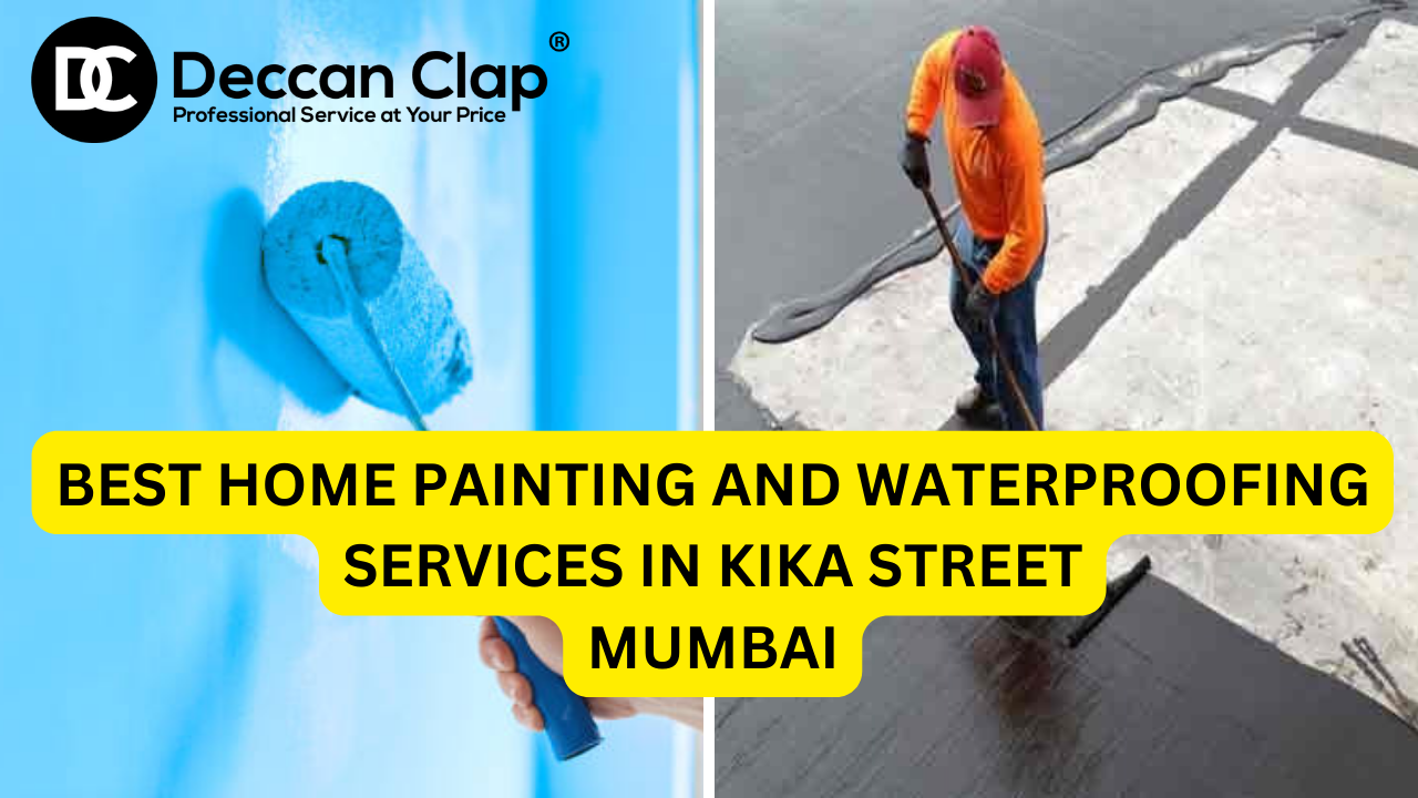 Best Home Painting and Waterproofing Services in Kika Street