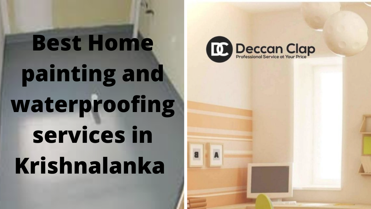 Best Home painting and waterproofing services in Krishnalanka
