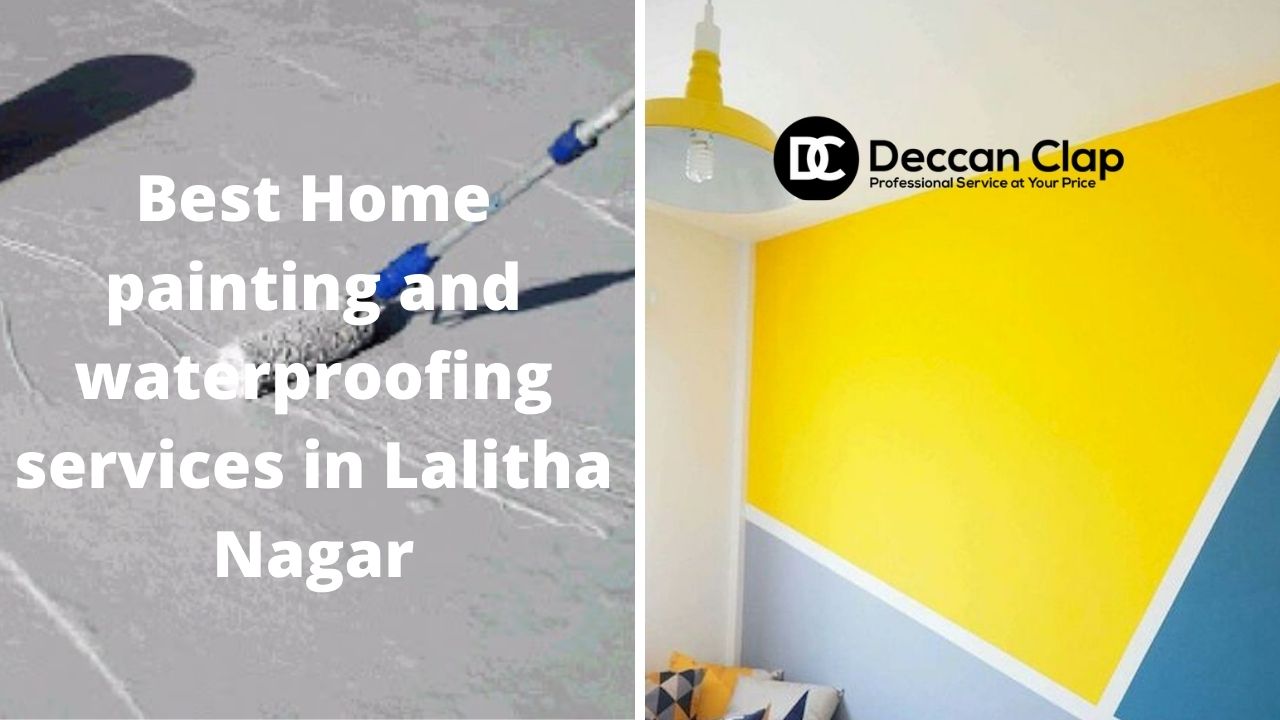 Best Home painting and waterproofing services in Lalitha Nagar