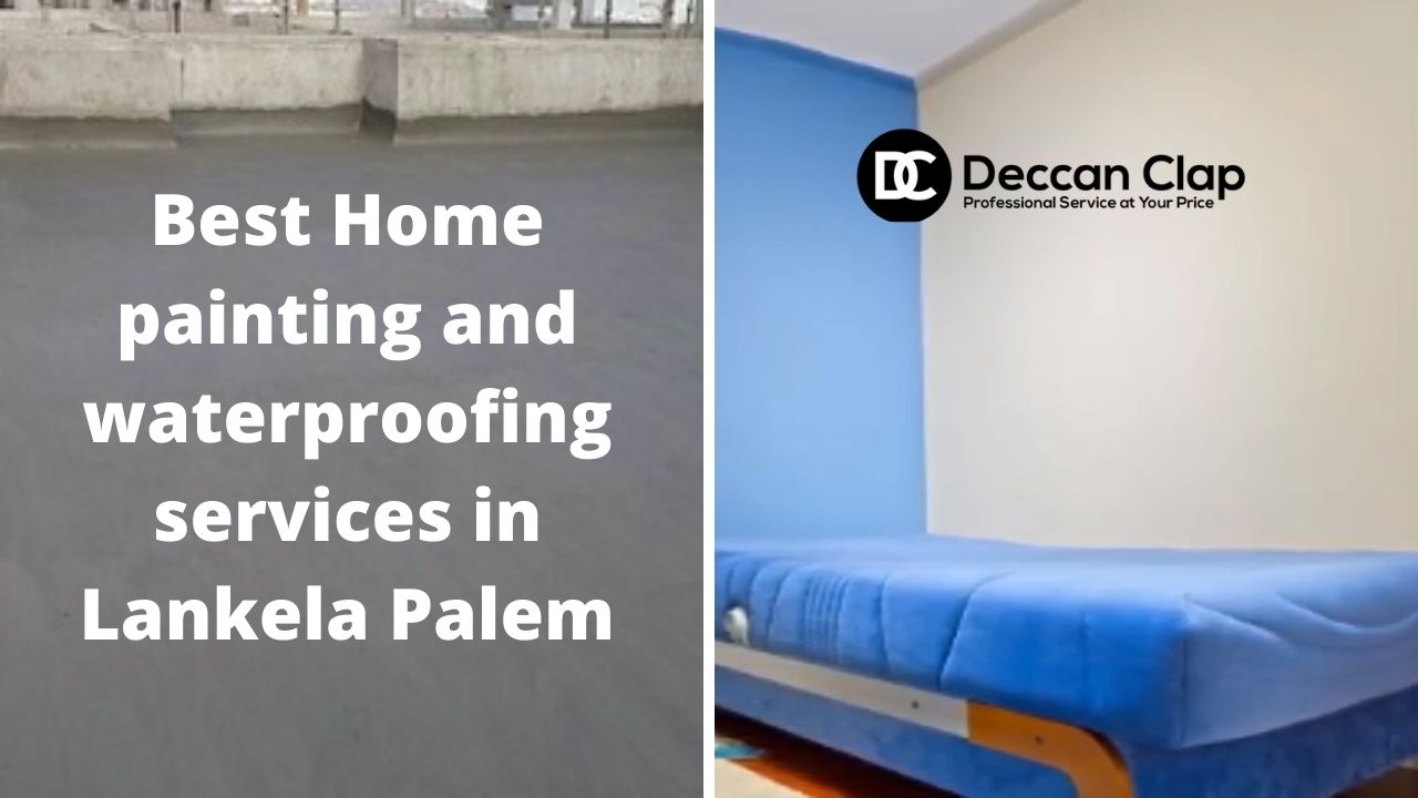 Best Home painting and waterproofing services in LankelaPalem