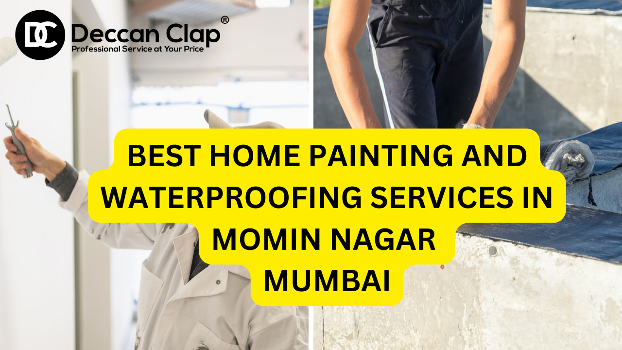Best Home painting and waterproofing services in Momin Nagar