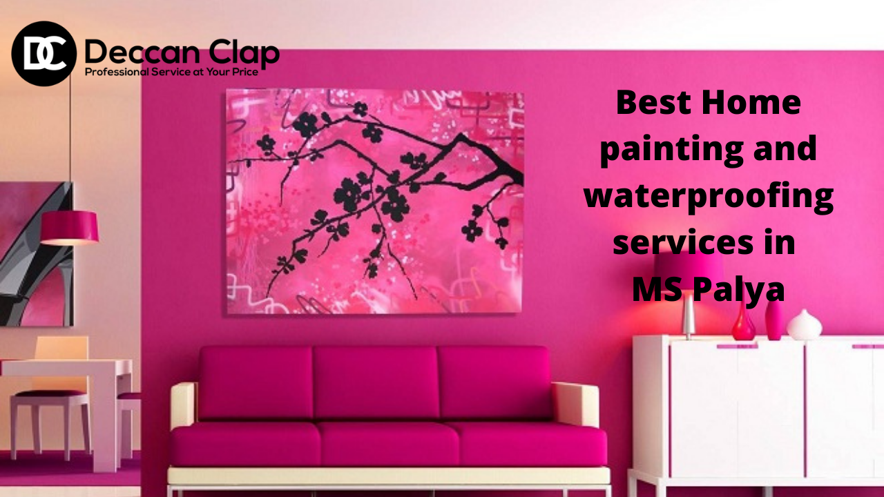 Best Home painting and waterproofing services in MS Palya