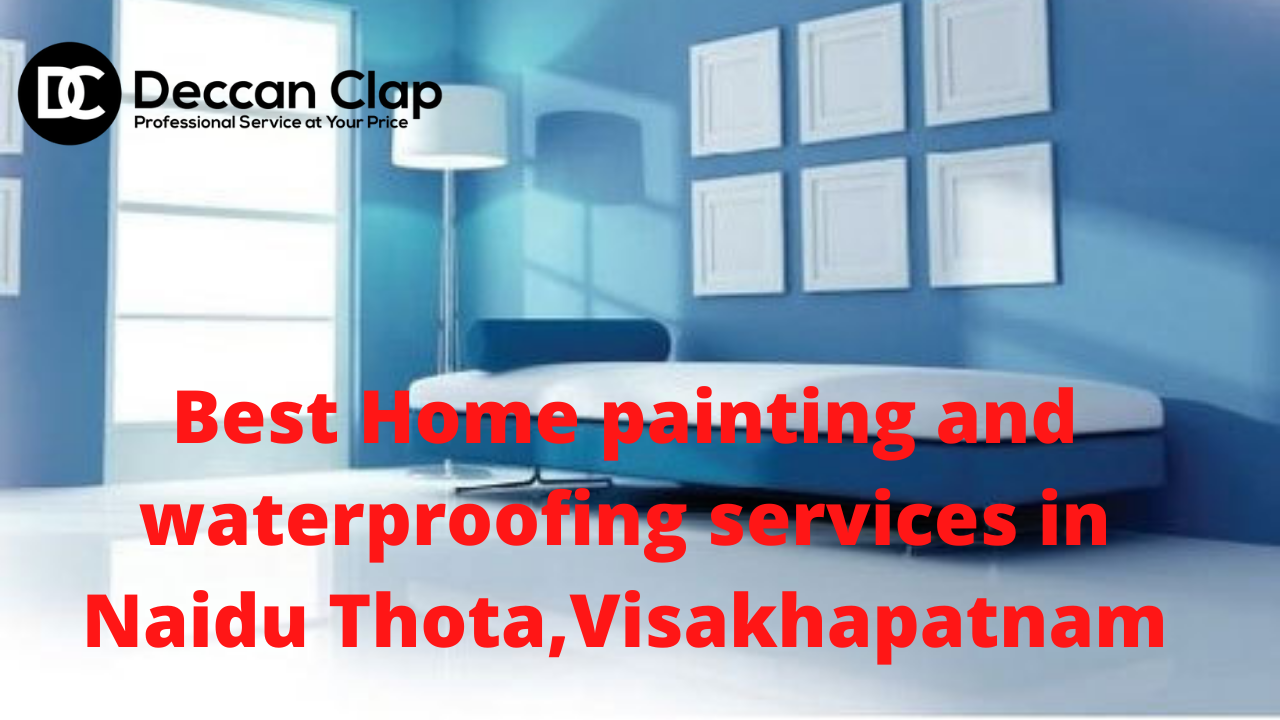 Best Home painting and waterproofing services in Naidu Thota