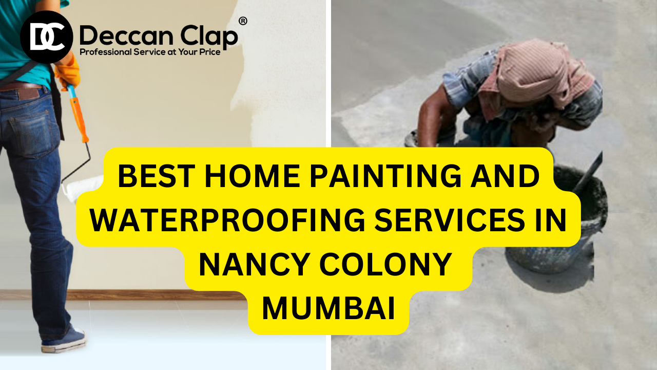 Best Home painting and waterproofing services in Nancy Colony