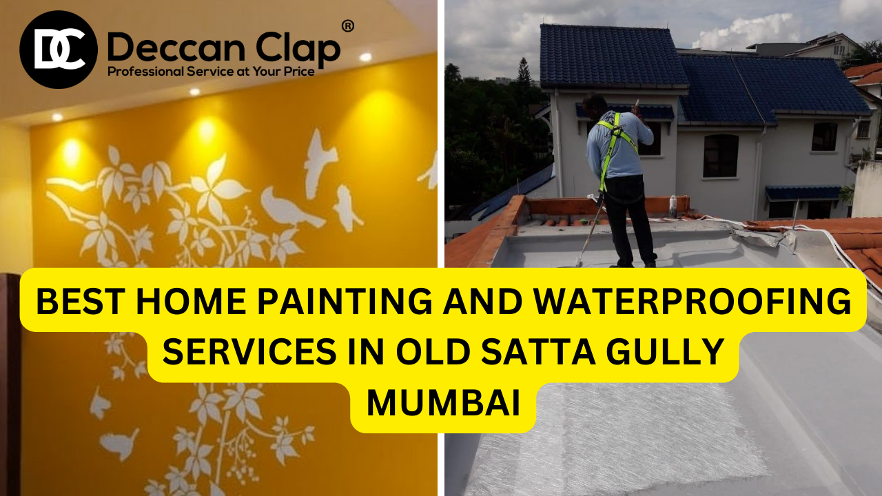 Best Home Painting and Waterproofing Services in Old Satta Gully