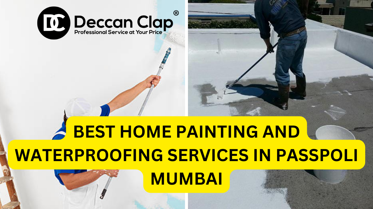 Best Home Painting and Waterproofing Services in Passpoli