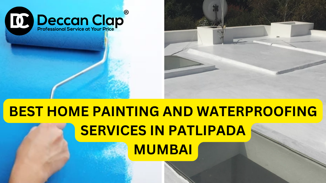 Best Home Painting and Waterproofing Services in Patlipada