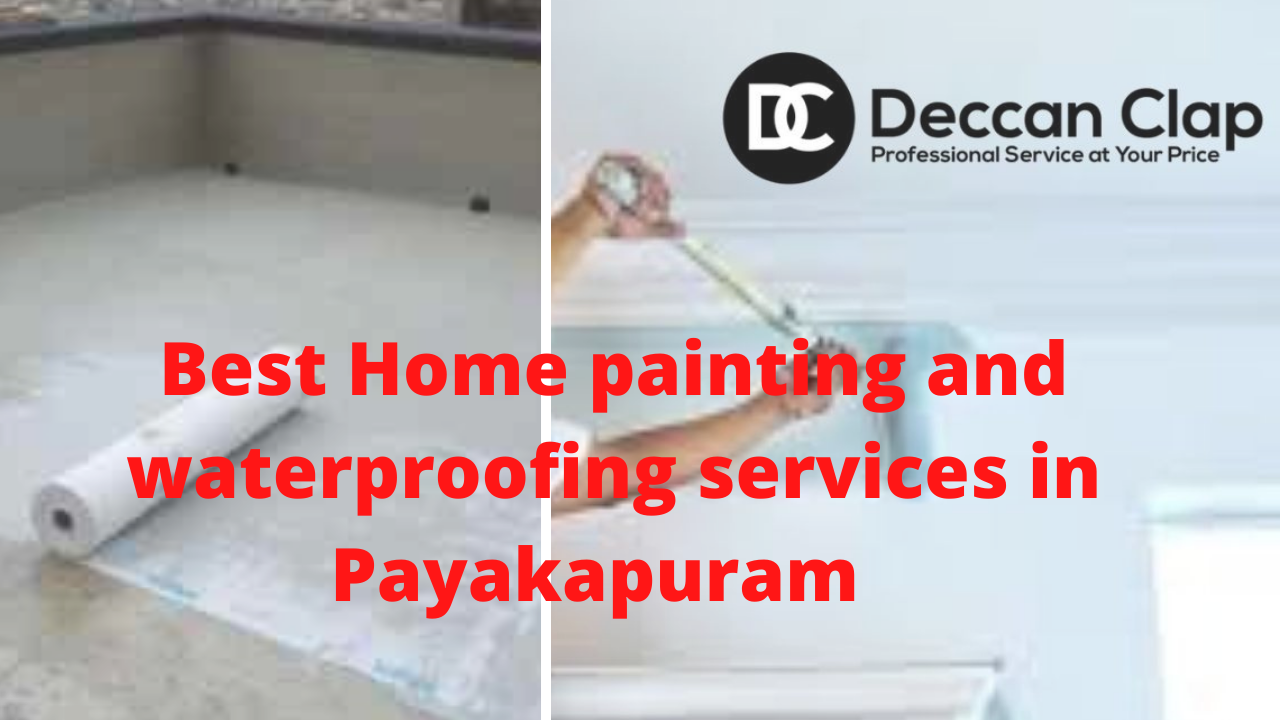 Best Home painting and waterproofing services in Payakapuram