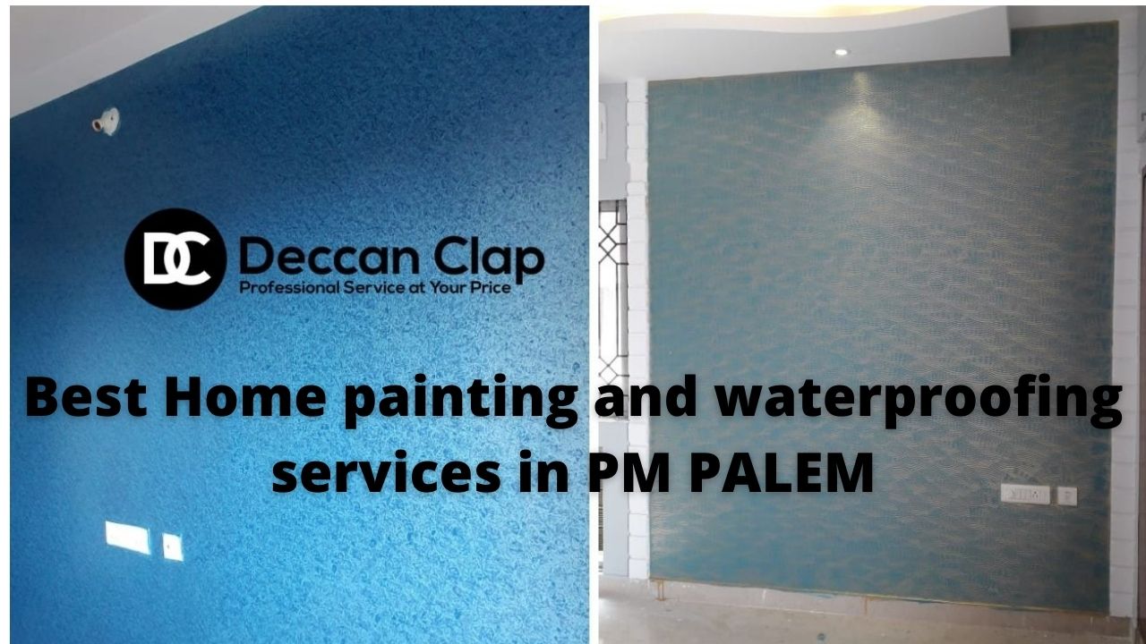 Best Home painting and waterproofing services in PM Palem