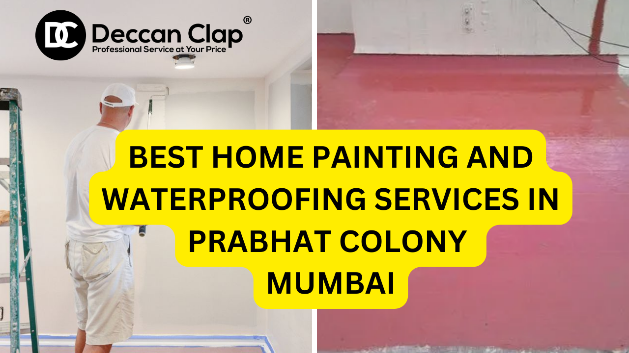 Best Home Painting and Waterproofing Services in Prabhat Colony
