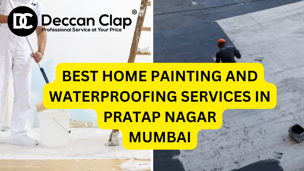 Best Home Painting and Waterproofing Services in Pratap Nagar