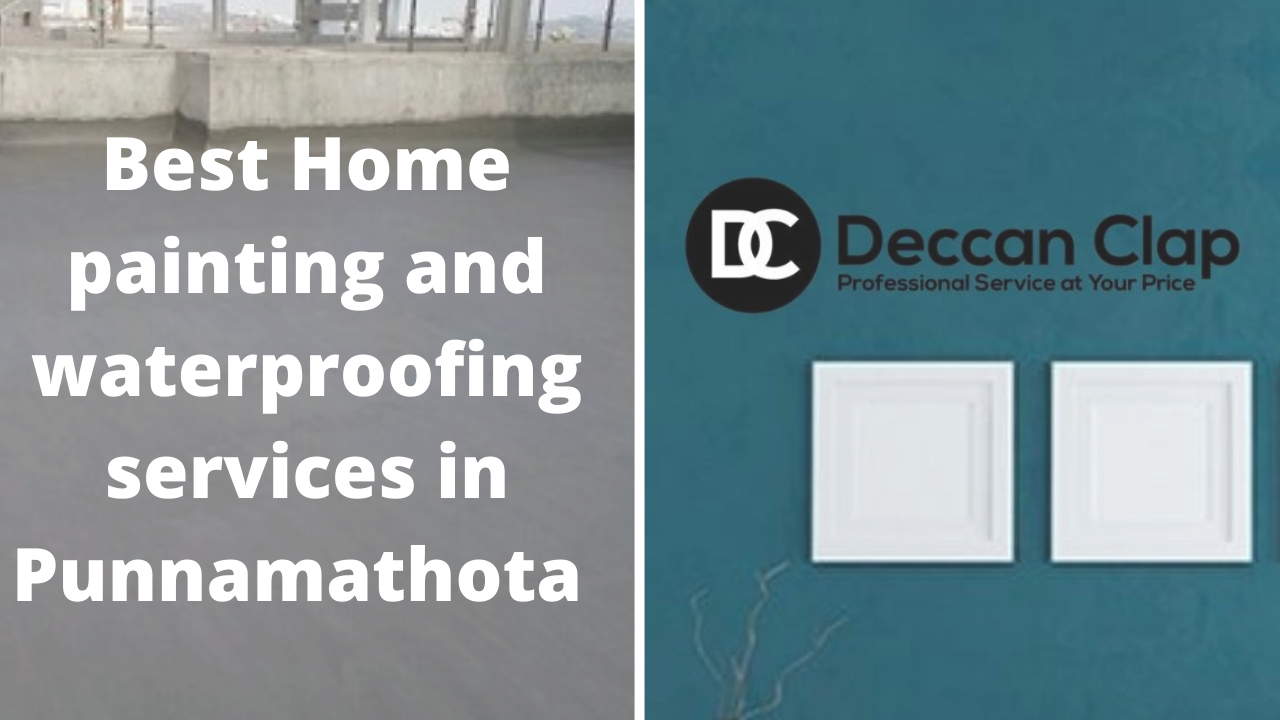 Best Home painting and waterproofing services in Punnamathota