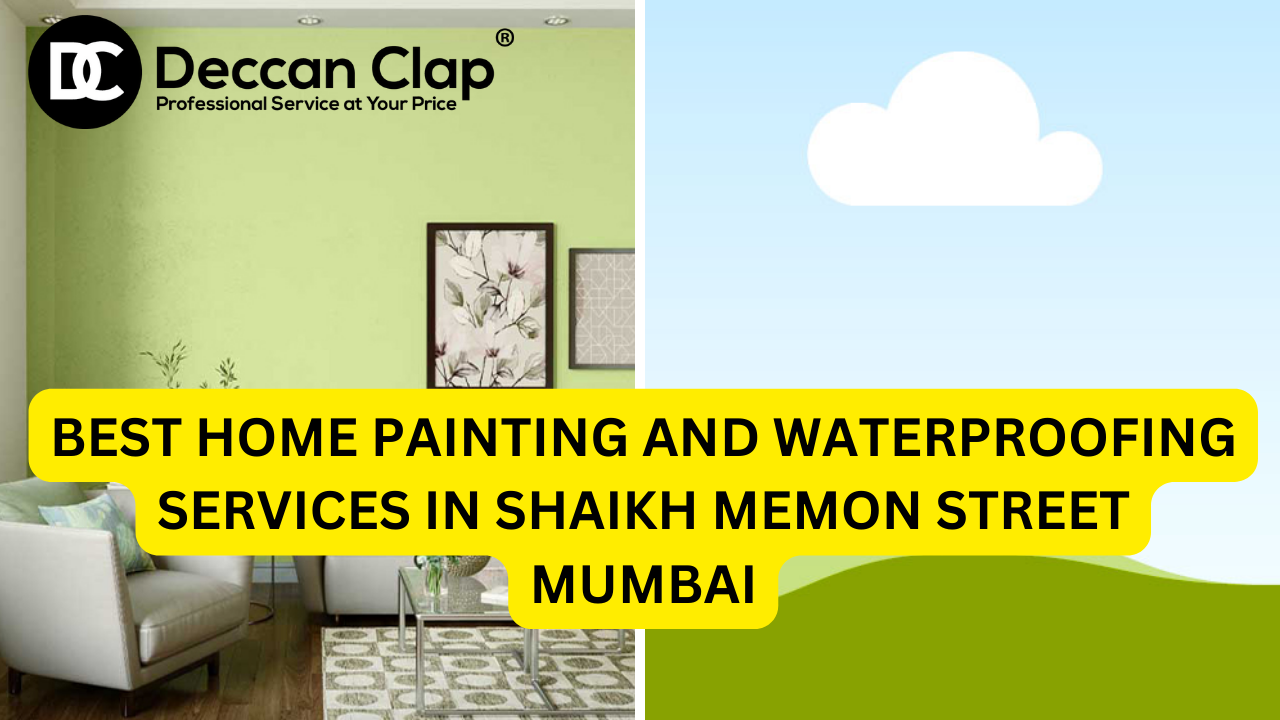 Best Home Painting and Waterproofing Services in Shaikh Memon Street