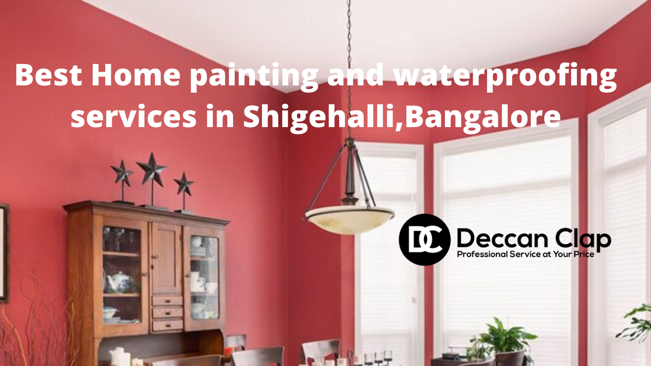 Best Home painting and waterproofing services in Shigehalli
