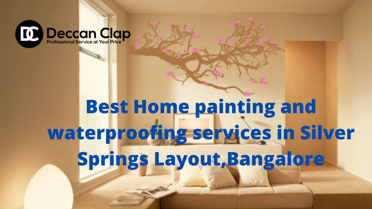 Best Home painting and waterproofing services in Silver Springs Layout