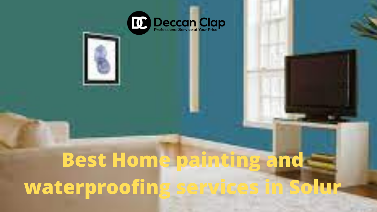 Best Home painting and waterproofing services in Solur