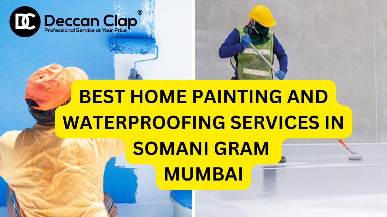 Best Home painting and waterproofing services in Somani Gram