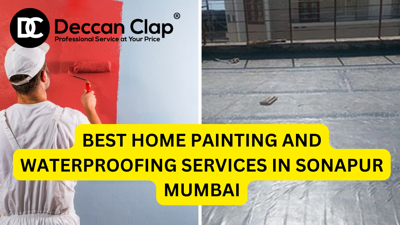 Best Home Painting and Waterproofing Services in Sonapur