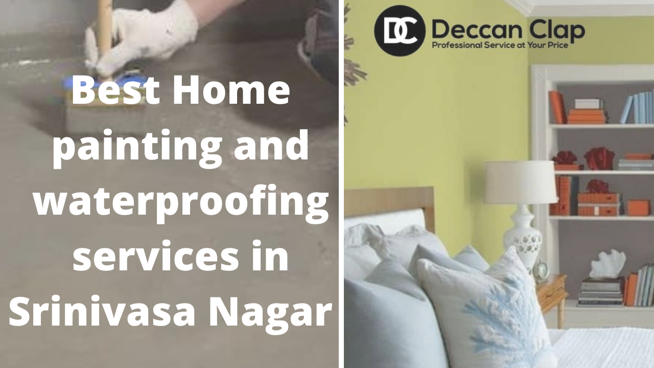 Best Home painting and waterproofing services in Srinivasa Nagar