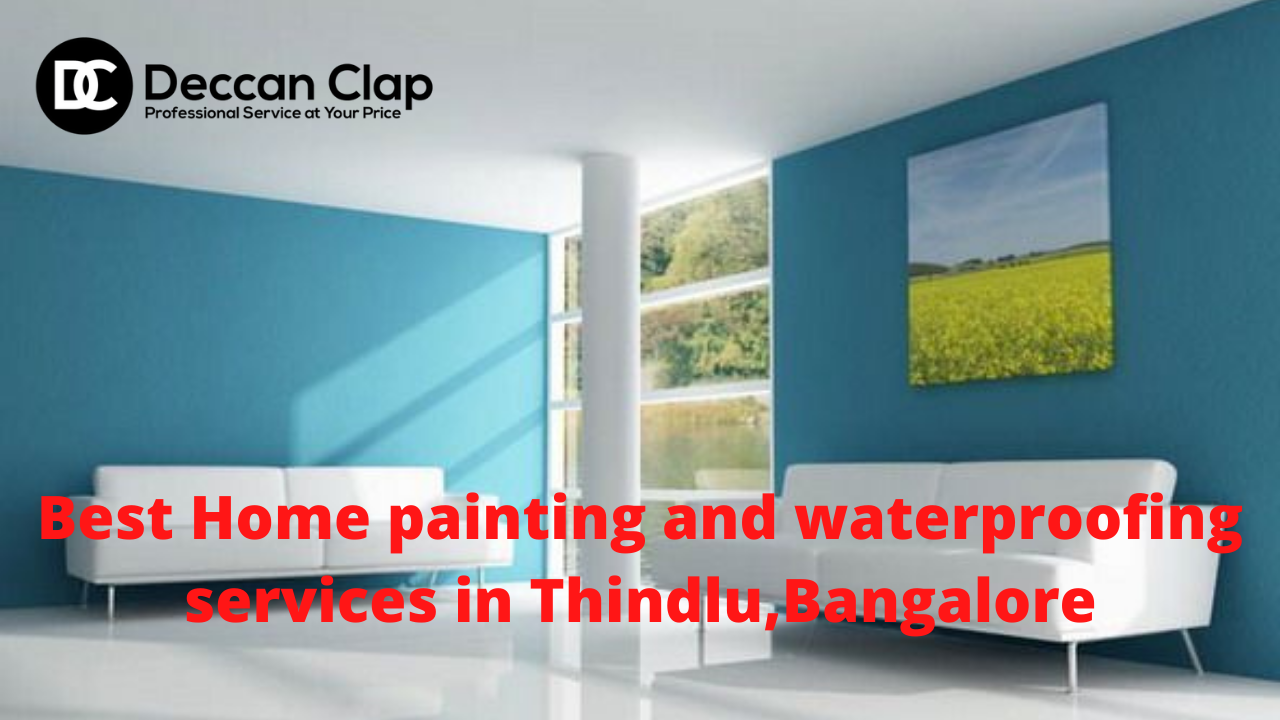 Best Home painting and waterproofing services in Thindlu