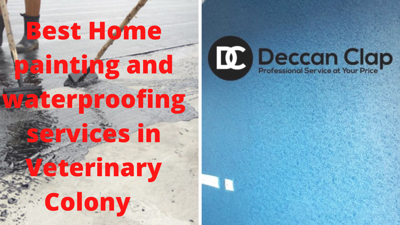 Best Home painting and waterproofing services in Veterinary Colony