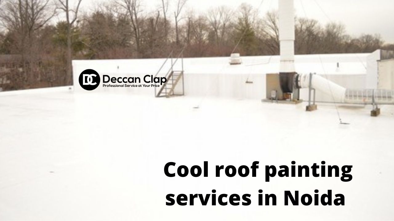 Cool Roof Painting Services in Noida