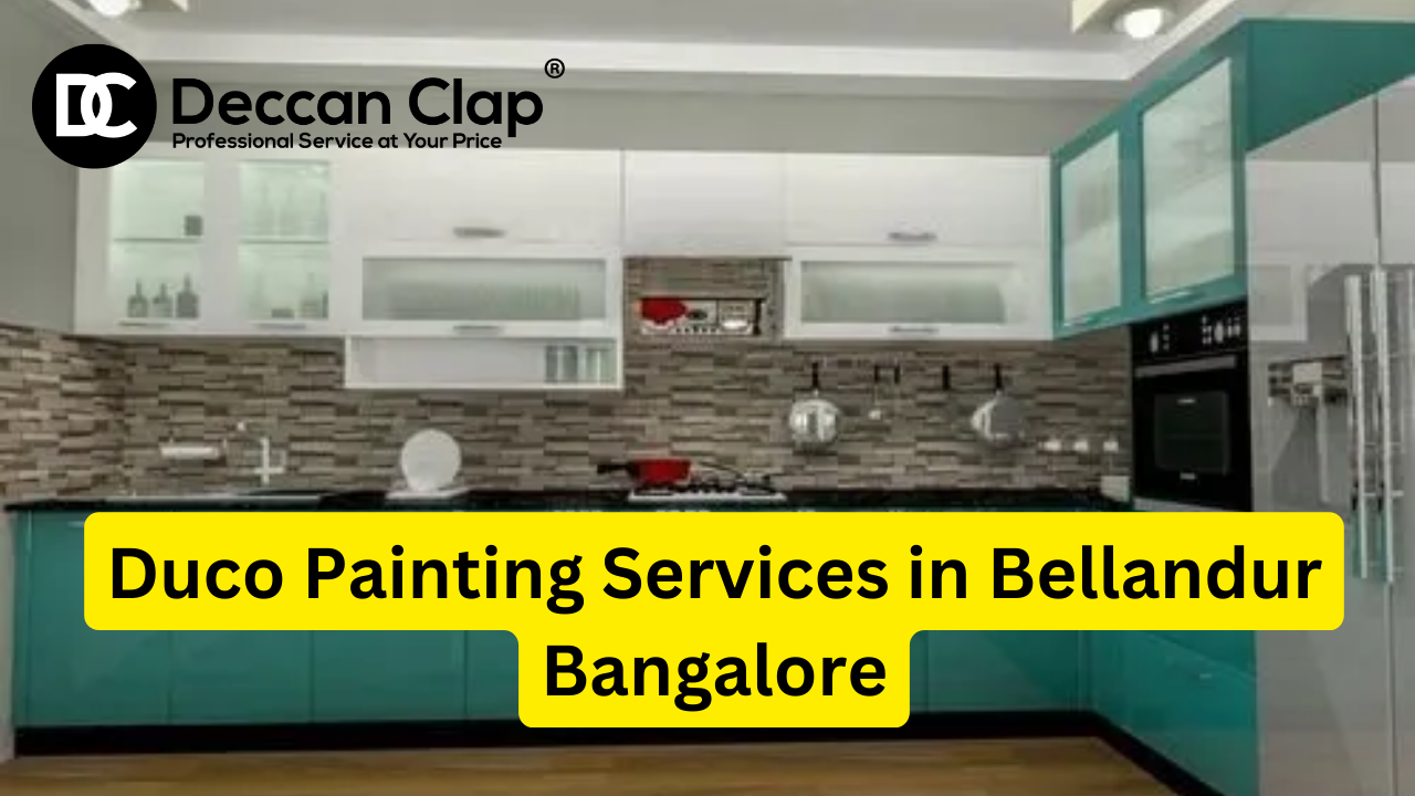 DUCO Painters in Bellandur Bangalore