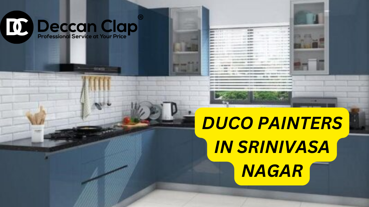DUCO Painters in Srinivasa Nagar Bangalore