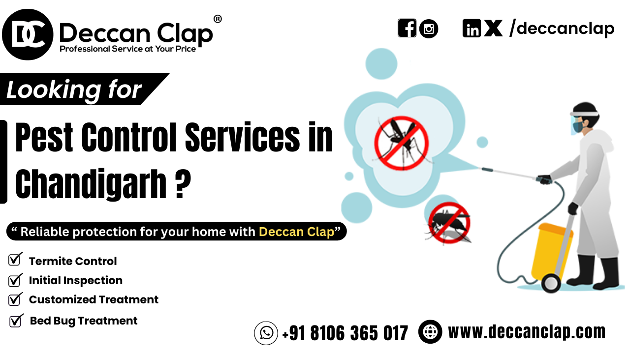 Pest Control Services in Chandigarh