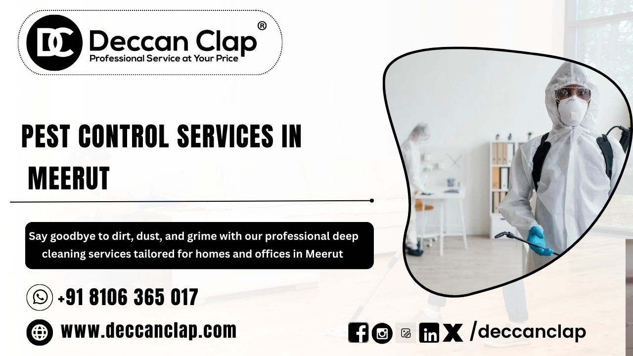 Pest Control Services in Meerut